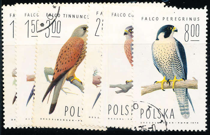 Poland - 1975 - Birds of Prey - set of 8 fine used. SG 2341-2348 .