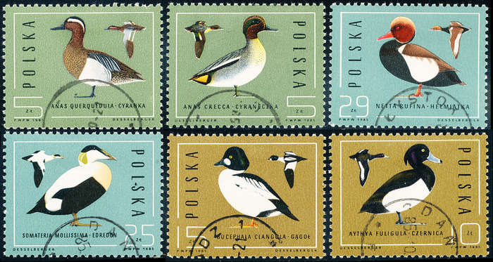 Poland - 1985 - Wild Ducks - set of 6 fine used . SG 311-316 .