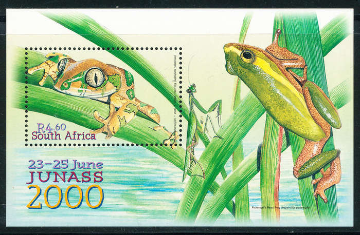 South Africa - 2000 - 'Junass 2000' - m/sheet (Tree Frog) mint unhinged . SACC 1258 .