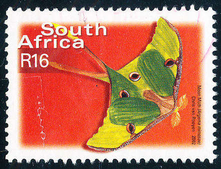 South Africa - 2002 - Additional Values - R16 single scarce value mint unhinged . SACC 1509 .