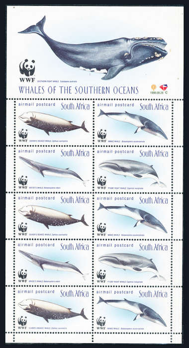 South Africa - 1998 - Whales - sheet of 10 airmail postcard stamps mint unhinged .