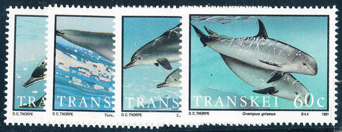 Transkei - 1991 - Dolphins - set of 4 mint unhinged . SG 269-272 .