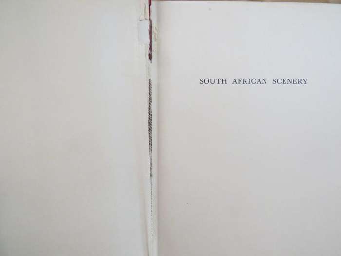 South African Scenery - L. C. King