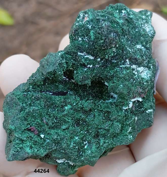 Malachite chrysocolla - Mashamba West mine DRC Congo