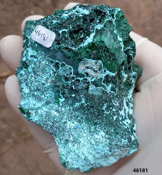 Malachite chrysocolla - Mashamba West mine DRC Congo