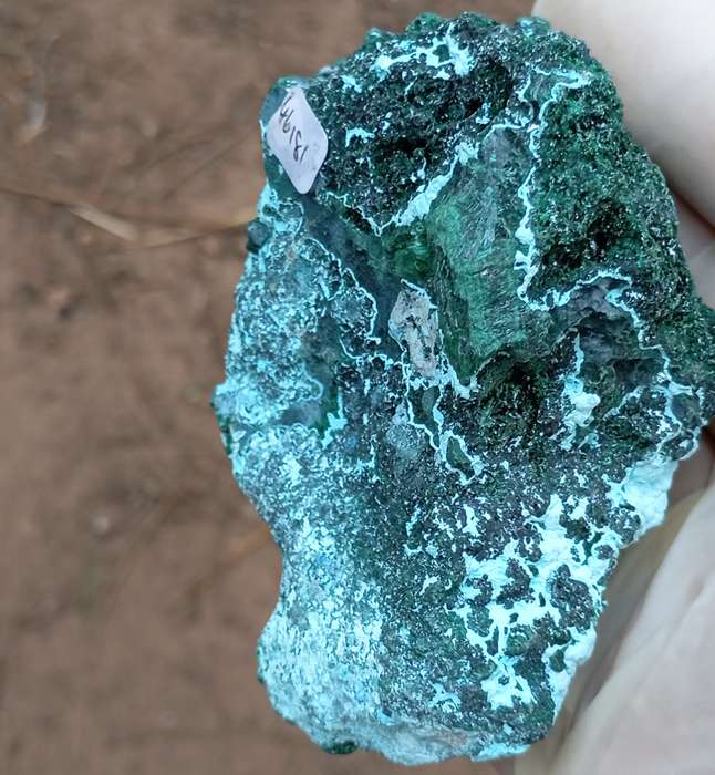 Malachite chrysocolla - Mashamba West mine DRC Congo