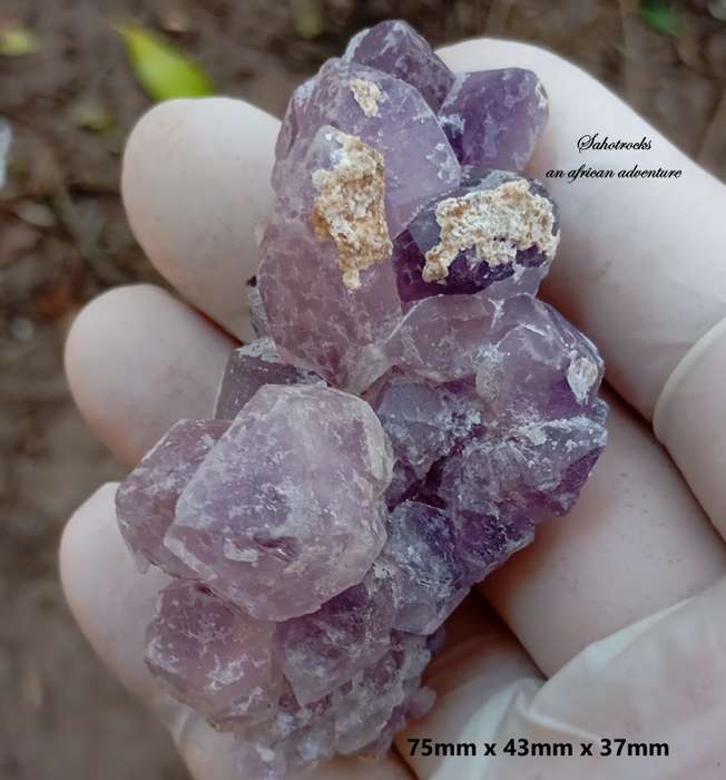 Hematite in quartz - Orange River N Cape South Africa