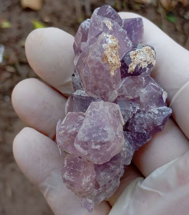 Hematite in quartz - Orange River N Cape South Africa