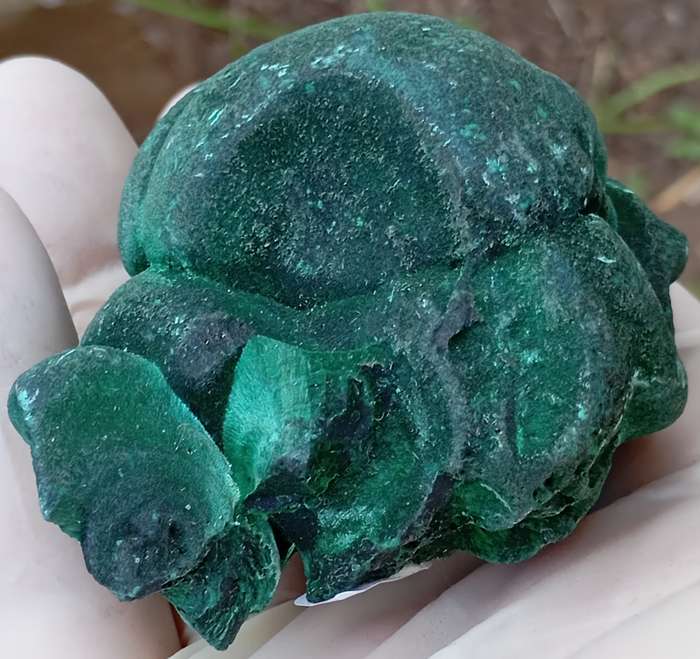 Malachite - Mindingi mine DRC Congo