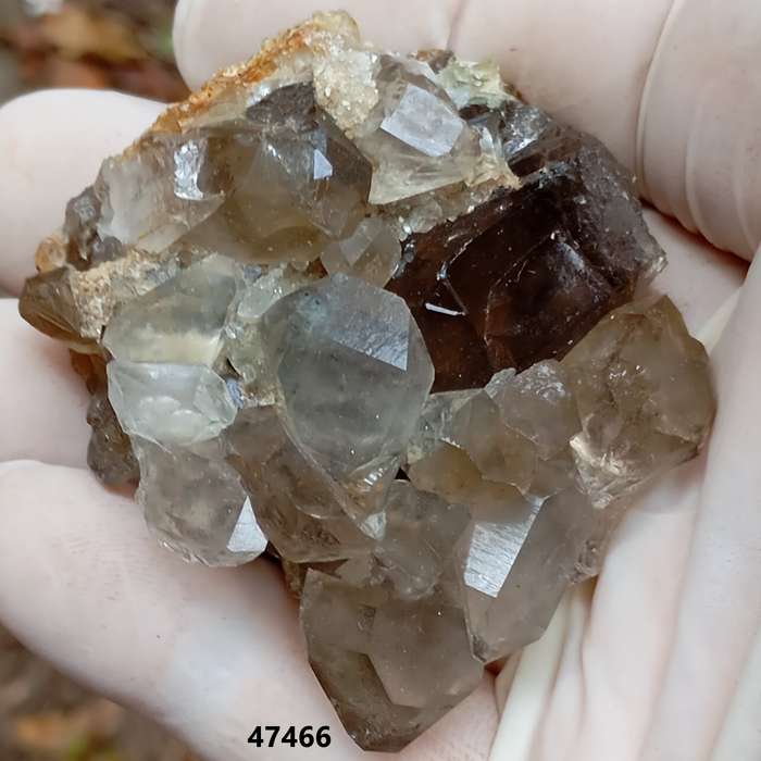 Hematite quartz - Orange River Steinkopf N Cape South Africa