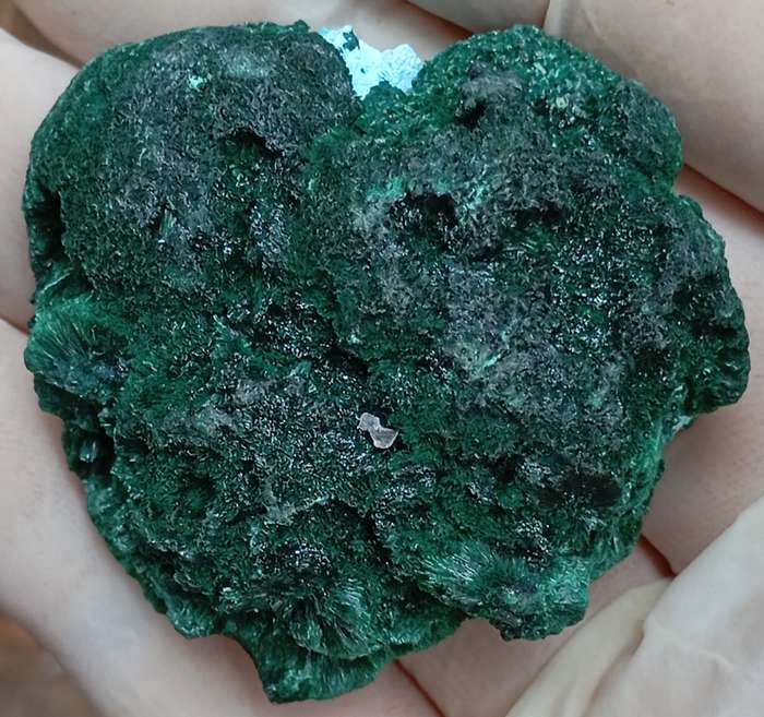 Malachite chrysocolla - Mashamba West mine DRC Congo