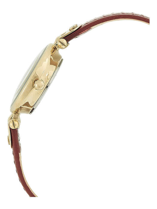 Anne Klein Womens Leather Strap Watch Gold Brown
