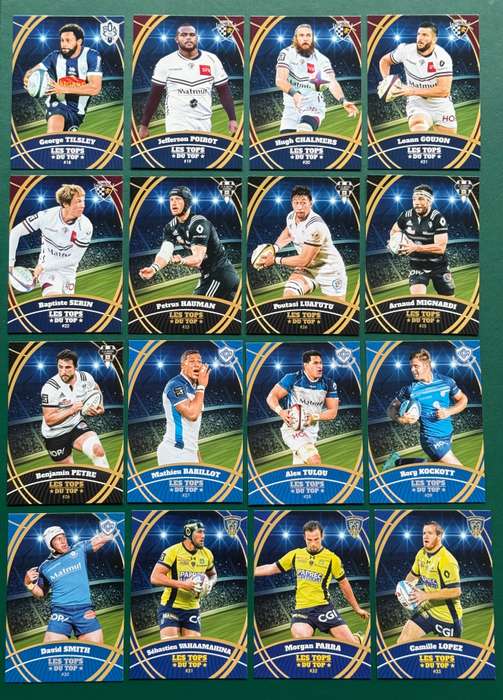 Rugby Cards - 2018 Panini French Top 14 Rugby Cards (67)