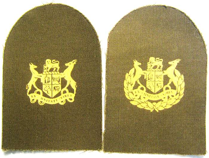 OLD S.A. NAVY MARINES WARRANT OFFICER CLASS II AND CLASS I PRINTED BADGES IN UNUSED CONDITION