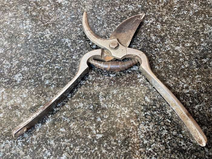 Vintage pruning garden shears iron,Germany,ChromNickel Garantie Stahl,
