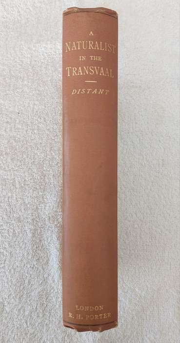 A Naturalist in the Transvaal by W.L. Distant