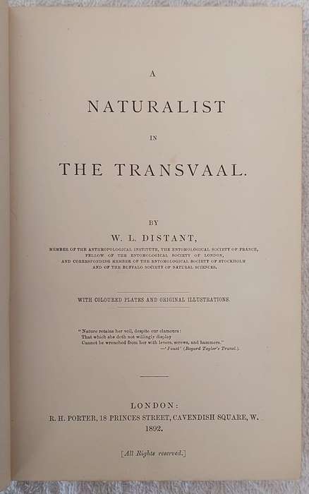 A Naturalist in the Transvaal by W.L. Distant