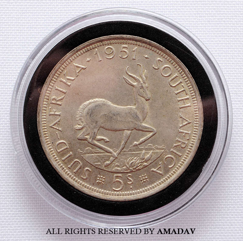 ***SPECIAL*** 5 Shilling coin holders