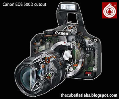 http://3.bp.blogspot.com/_zSHXZAl-7pA/SdpBs8IzOAI/AAAAAAAAArY/wmdmN4U-j5M/s400/new+500D+cutout.jpg