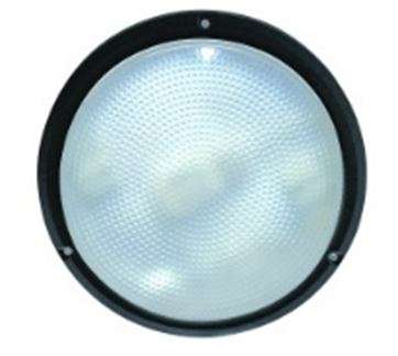 2D 16W Clear Black Bulkhead 266Dia x 67 IP54