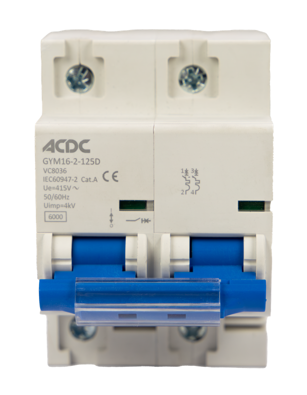 Circuit Breaker 2 Pole D-Curve 10KA 100A