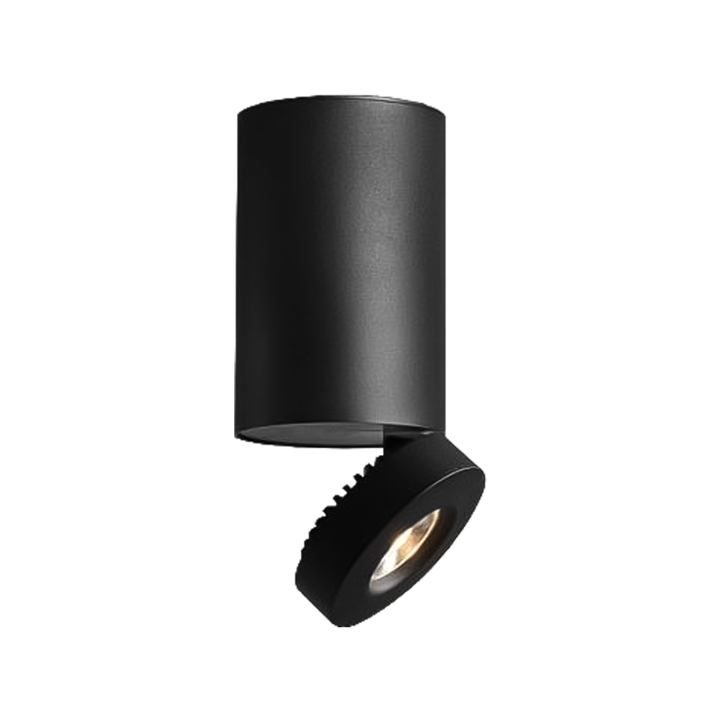 Modern Ceiling Spotlight 12W Black DL