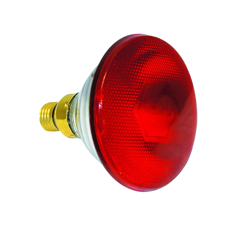 230VAC Infrared Lamp 175W  E27