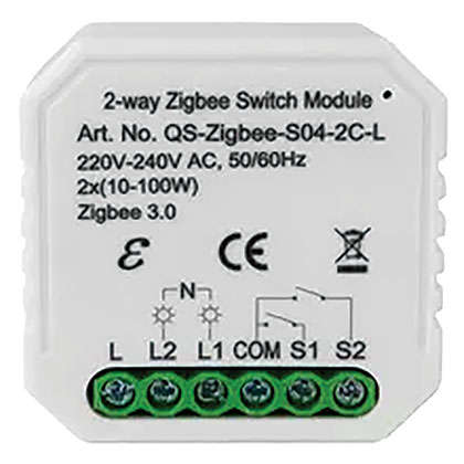 ON/OFF 250W ZIGBEE RF 2 GANG SMART SWITCH MODULE