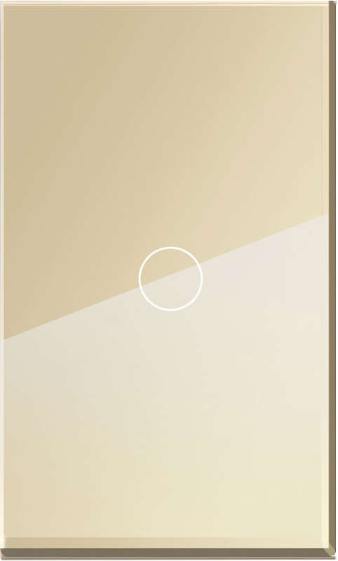 1-GANG GOLD GLASS PLATE 2x4