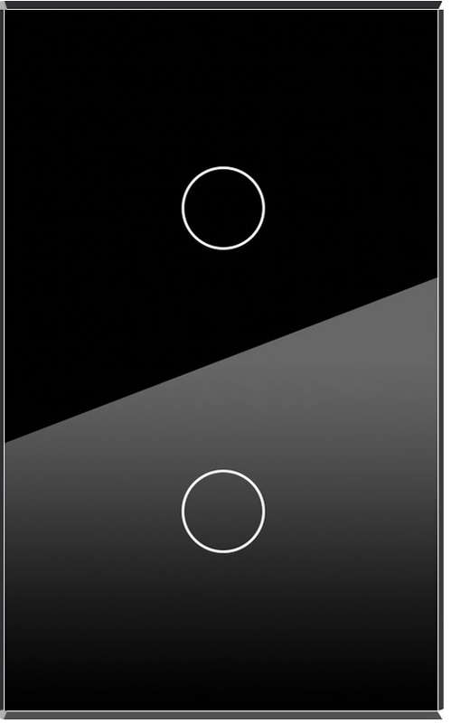 2-GANG BLACK GLASS PLATE 2x4