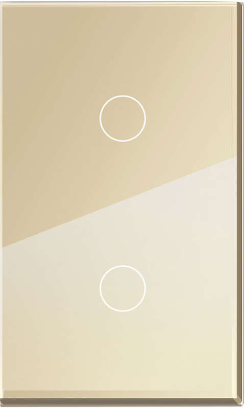2-GANG GOLD GLASS PLATE 2x4