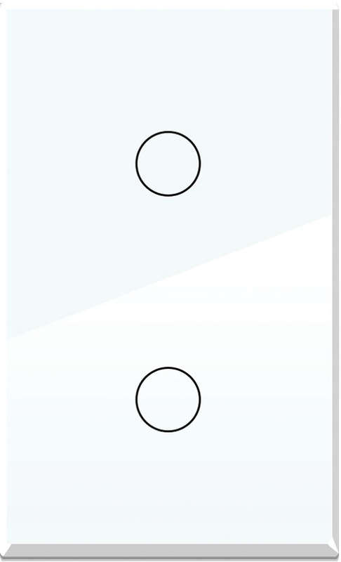 2-GANG WHITE GLASS PLATE 2x4