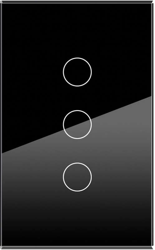 3-GANG BLACK GLASS PLATE 2x4