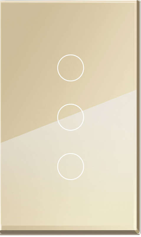 3-GANG GOLD GLASS PLATE 2x4
