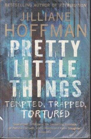 Pretty Little Things - Hoffmann, Jilliane