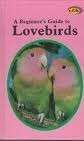A Beginner's Guide to Lovebirds - Barrie, Anmarie