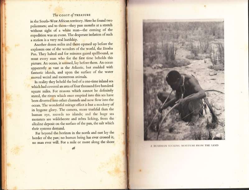 The Coast of Treasure (Signed, First Edition Hardcover) - Green, Lawrence