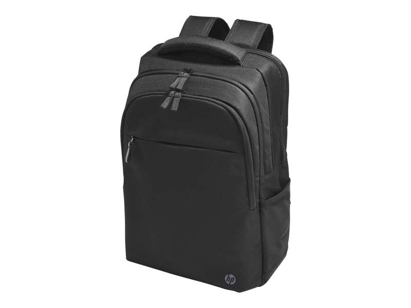 HP Prof 17.3 Laptop Bckpck
