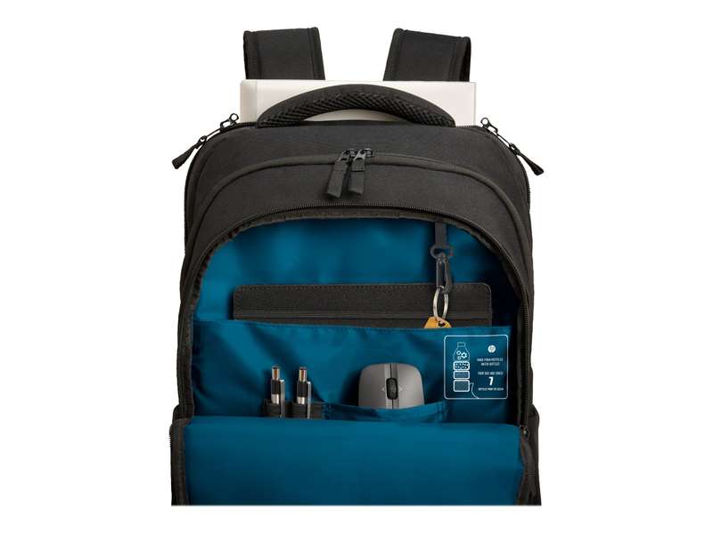 HP Prof 17.3 Laptop Bckpck