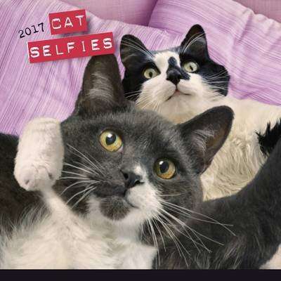 Cat Selfies 2017 (Calendar)