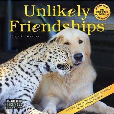 Unlikely Friendships Mini Wall Calendar 2017 (Calendar)