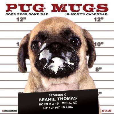 Pug Mugs (Calendar)