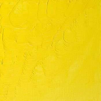 Winsor & Newton Winton Oil - Lemon Yellow Hue (200ml)