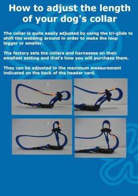 Rogz Pavement Special Midget Dog Collar - Small 11mm (Red Design)