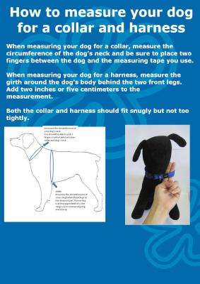 Rogz Pavement Special Midget Dog Collar - Small 11mm (Red Design)