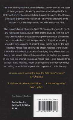 Metal Swarm (Paperback)