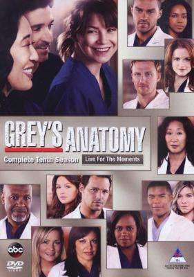 Grey's Anatomy - Season 10 (DVD, Boxed set)