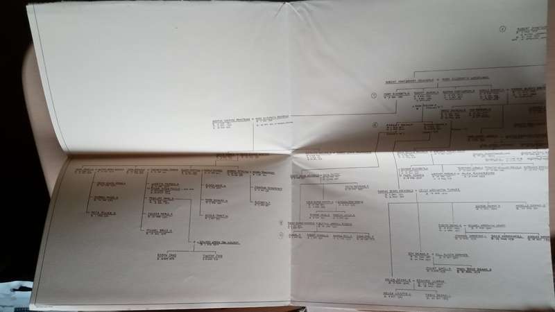 Honour Without Riches - The Story of an Archibald Family By: Dr. Ruth E. Gordon with family tree
