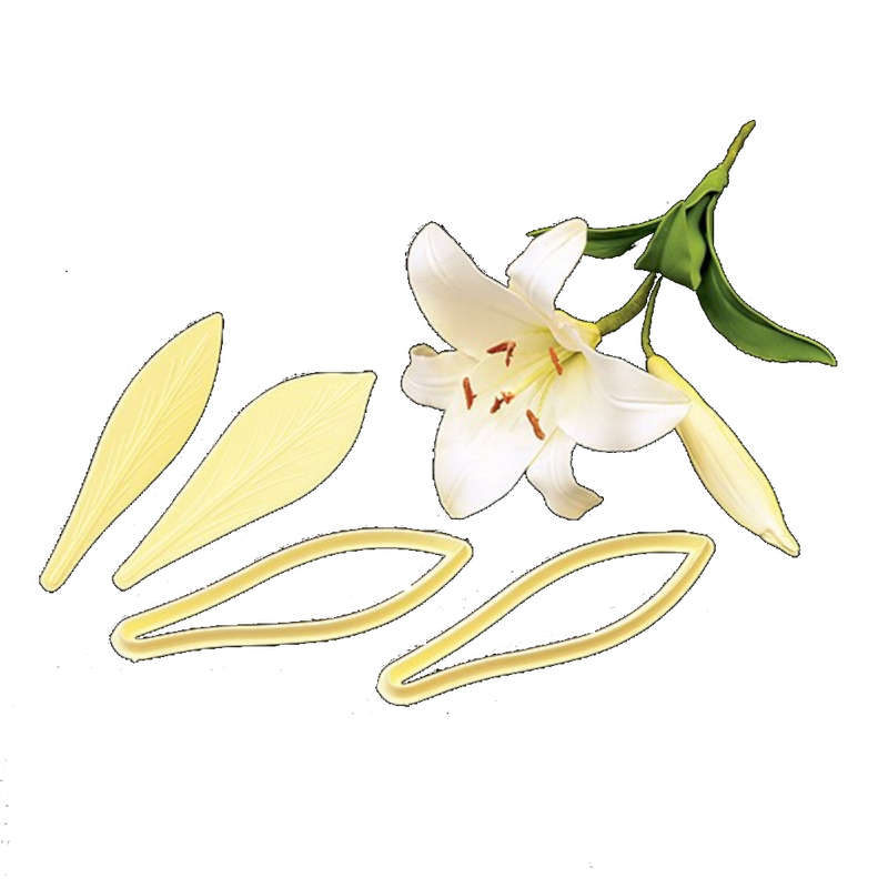 FMM Cutter Exotic Lily Embosser Cake Icing Flower Tool Sugarcraft