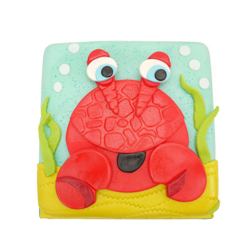 FMM - Mix and Match Animal Faces - Large - Shaped Sugarcraft Icing Cutter